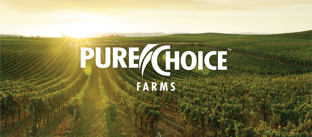 How to Prevent Muscle Loss on Ozempic Pure Choice Farms