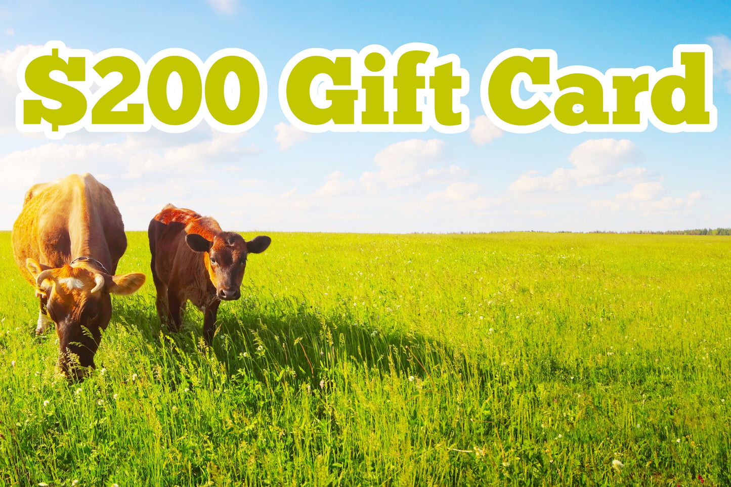 
                  
                    Gift Card - Pure Choice Farms
                  
                